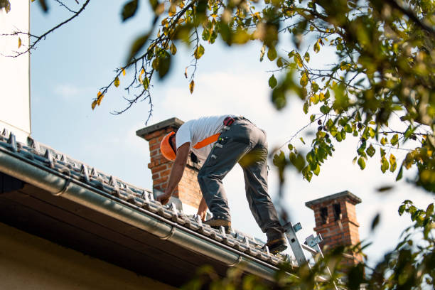 Best Metal Roofing Contractor  in East Canton, OH